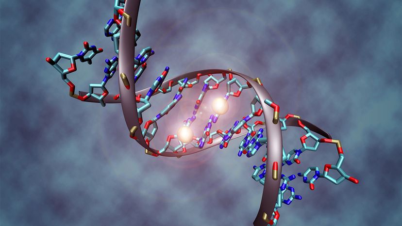 Why DNA Alone Can t Define Your Future: The Role of Epigenetics