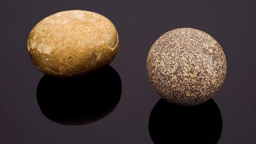 Bezoars: Ancient Natural Remedies and Their Modern Significance