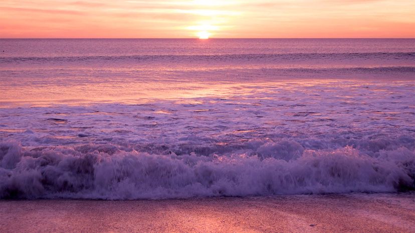 Ancient Earth: Why Pink Was the Original Color