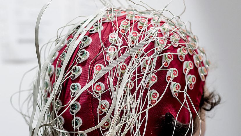 Do You Truly Understand? Your Brain Signals Reveal the Truth