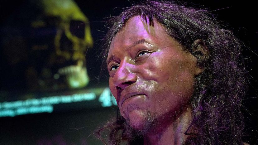 Discover Cheddar Man: Britain s 10,000-Year-Old Stone Age Skeleton