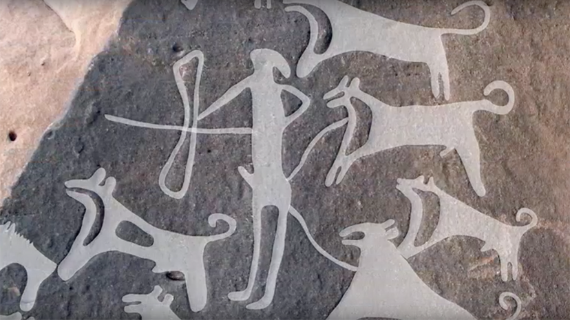 New Saudi Rock Art Reveals Prehistoric Dogs Tied with Leashes