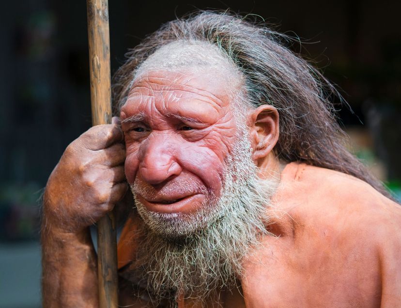 Why Modern Humans Outlasted Neanderthals: It Wasn t About Smarts