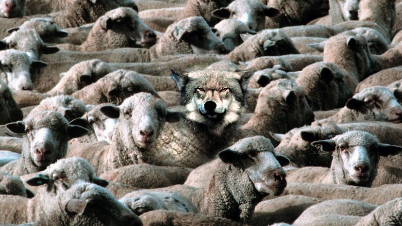 New Study Reveals Cognitive Differences in Conspiracy Theory Believers