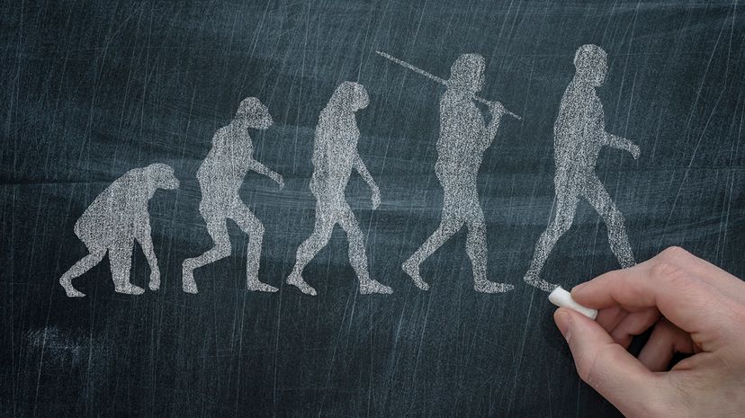 How Neanderthal DNA Shapes Modern Human Traits and Health