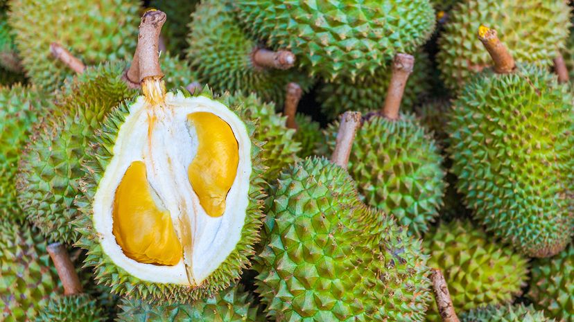 Scientists Identify Genes Behind Durian s Distinct Aroma