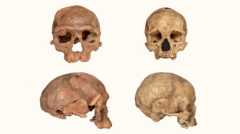 Newly Discovered 350,000‑Year‑Old Homo Sapiens Fossils Challenge Existing Evolutionary Timeline
