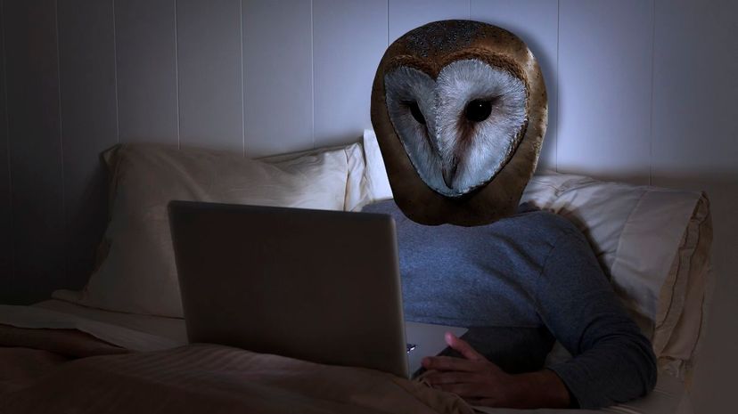 Researchers Identify CRY1 Gene Mutation Behind Chronic Night Owls