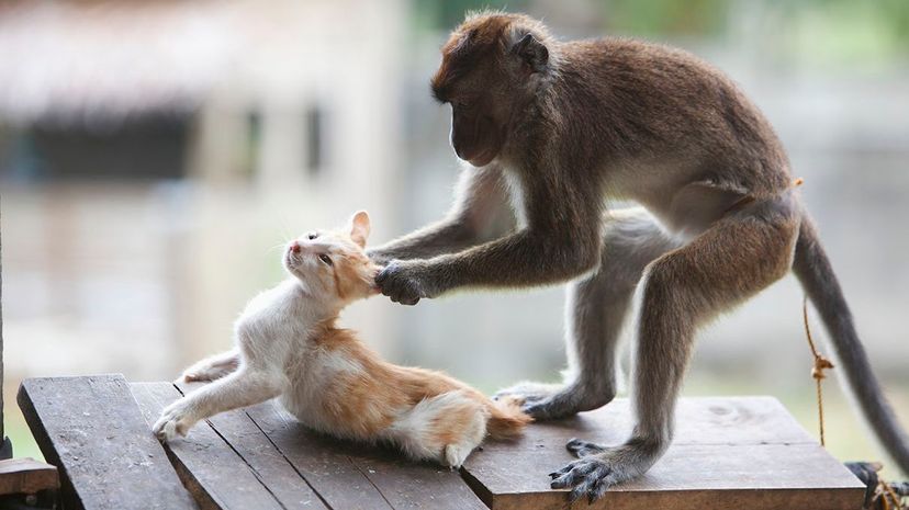 Revisiting Evolution: Why Our Current Model Needs an Update