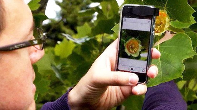 PlantNet: Identify Plants Instantly with Your Smartphone Camera