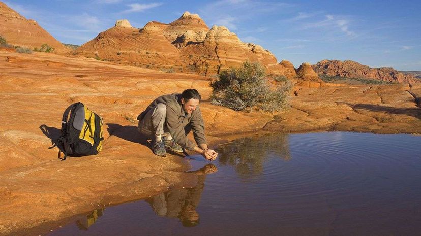 Why Can t We Smell Fresh Water? The Evolutionary Mystery Explained