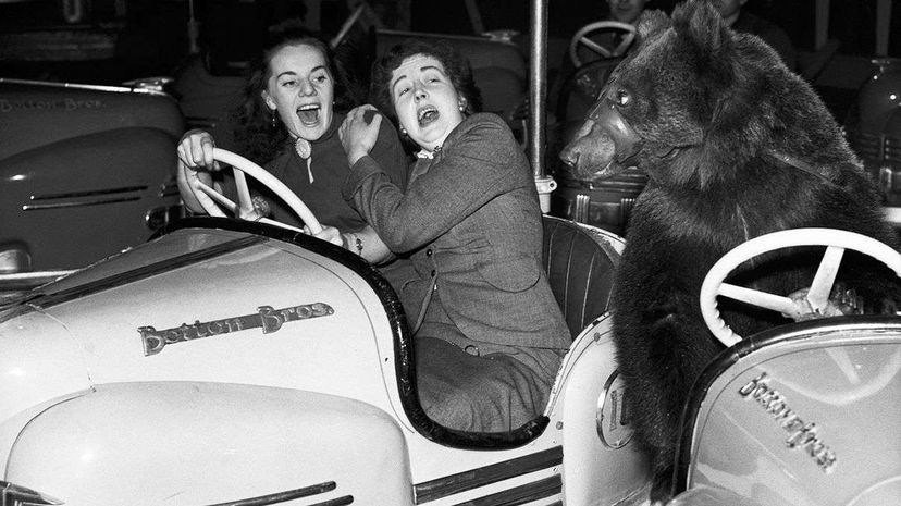 The Science Behind Human Screams and Distorted Facial Expressions in Fear