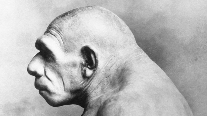 Early Homo sapiens Interbred with Neanderthals, Revealing Genetic Trade-Offs