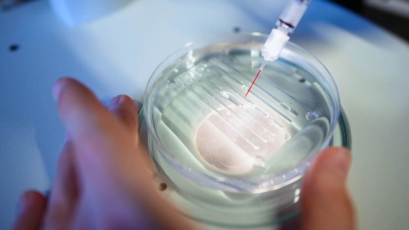 Understanding CRISPR: How Gene Editing Works