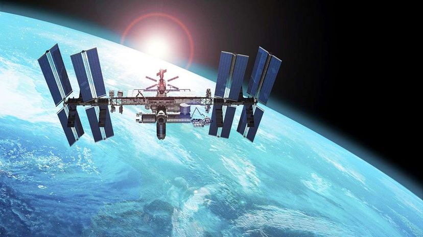 Citizen Scientists Reveal How Microgravity Boosts Bacterial Growth