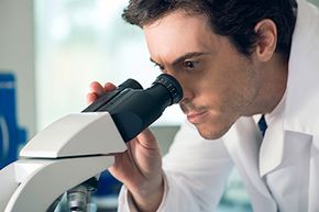 How Giant Viruses Work: A Beginner’s Guide