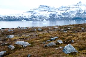 Could Climate Change Reactivate Ancient Viruses?