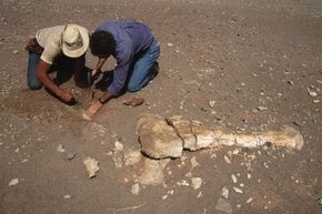 What Was the Largest Mass Extinction in Earth s History?