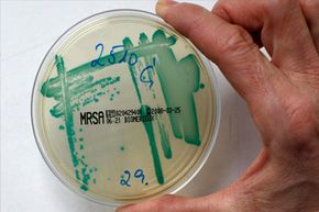 Can Antibiotic-Resistant Bacteria Lose Their Resistance?