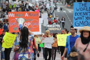 10 Common Misconceptions About GMOs Debunked