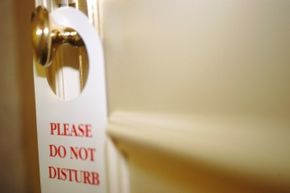 Is Privacy an Evolutionary Imperative? Exploring Human and Animal Needs