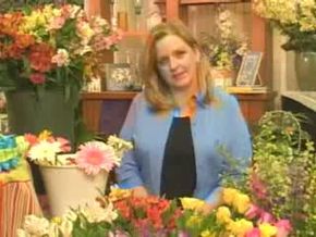 Poppies Explained: History, Benefits, and Growing Tips