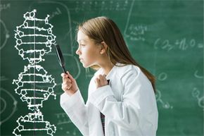 Can Genetic Enhancement Reduce Human Intelligence?