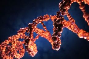 Causes of DNA Mutations: Key Factors Explained