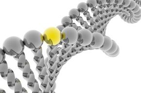 The Science Behind Hair Color Changes: How Genes and Lifestyle Influence Your Blonde Locks