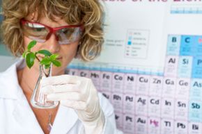 Agricultural Biotechnology Explained: Gene Editing & Crop Innovation