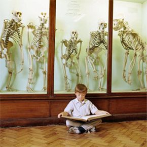 Are Humans Descended from Apes? A Scientific Perspective