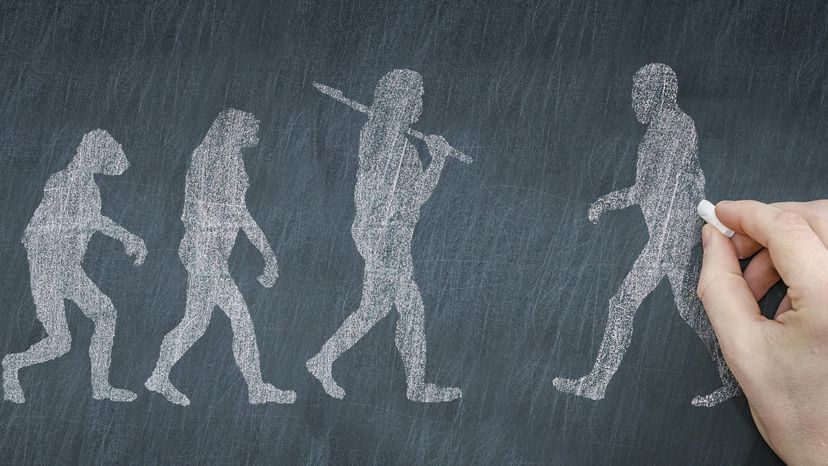 Could We Reconstruct Neanderthals? Exploring the Science of Reviving an Extinct Species
