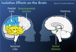 The Psychological Impact of Social Isolation: What Science Reveals