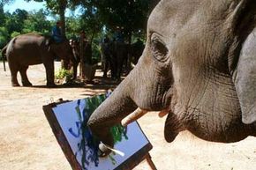 Do Animals Truly Exhibit Consciousness? Insights from Elephant Art and Behavior