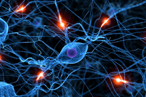 Can Consistent Effort for Three Weeks Create Lasting Habits?