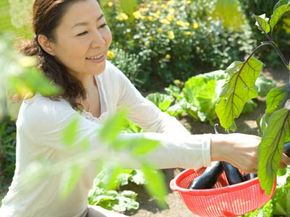 Do Happy People Enjoy Better Health? Discover the Link