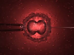 Can the Hayflick Limit Halt Human Longevity?