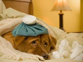 Understanding Cyberchondria: Symptoms, Causes, and Management