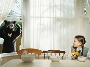 Can Fear Really Kill? Debunking the Myth of Death by Fright