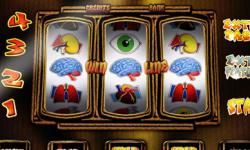 Debunking the Top 10 Brain Myths: What You Need to Know