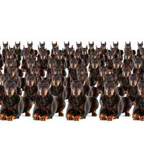 Why Certain Animals Are Harder to Clone: The Science Behind the Challenge