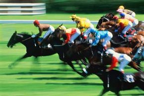 Can You Clone a Racehorse From Just a Few Strands of Hair?