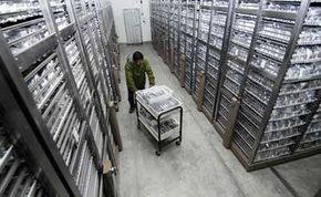 Inside Gene Banks: How They Preserve and Share Crop Diversity