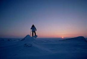 How Your Brain Shapes Your Survival in the Wilderness