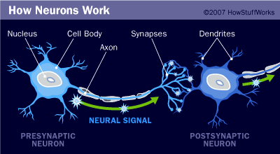 How Antidepressants Work: Mechanisms and Impact
