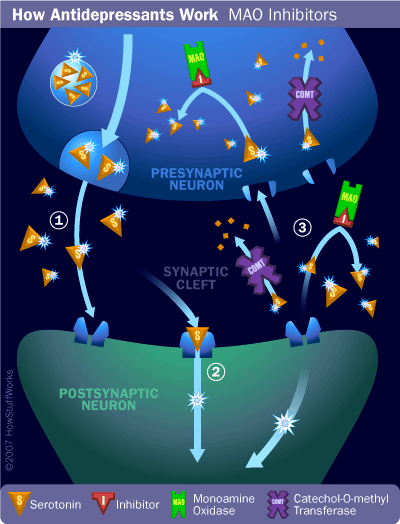 How Antidepressants Work: Mechanisms and Impact
