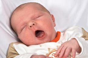 What Makes Us Yawn? Unveiling the Science Behind the Reflex