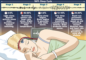 The Science of Sleep: How It Works and Why It Matters