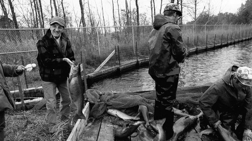 Three Classic Scientific Hypotheses and the Experiments That Confirmed Them