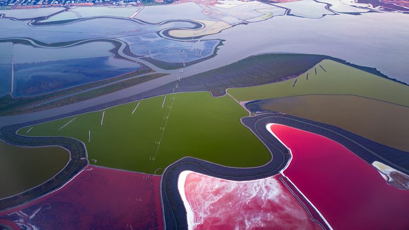 Not All Salts Are Created Equal: Understanding Their Unique Properties